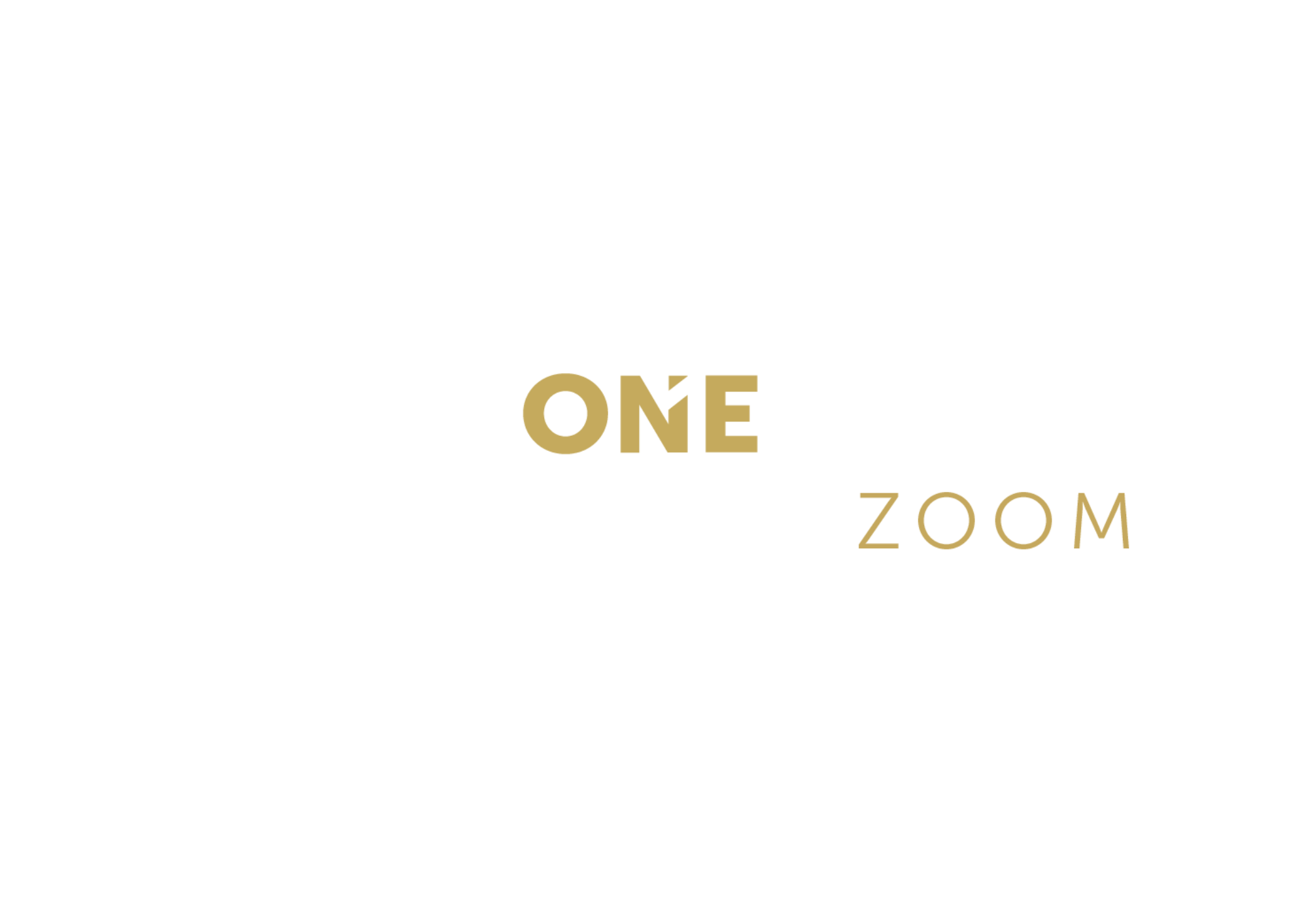 Realty ONE Group Zoom